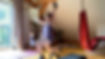 Training_Andrea.jpg
