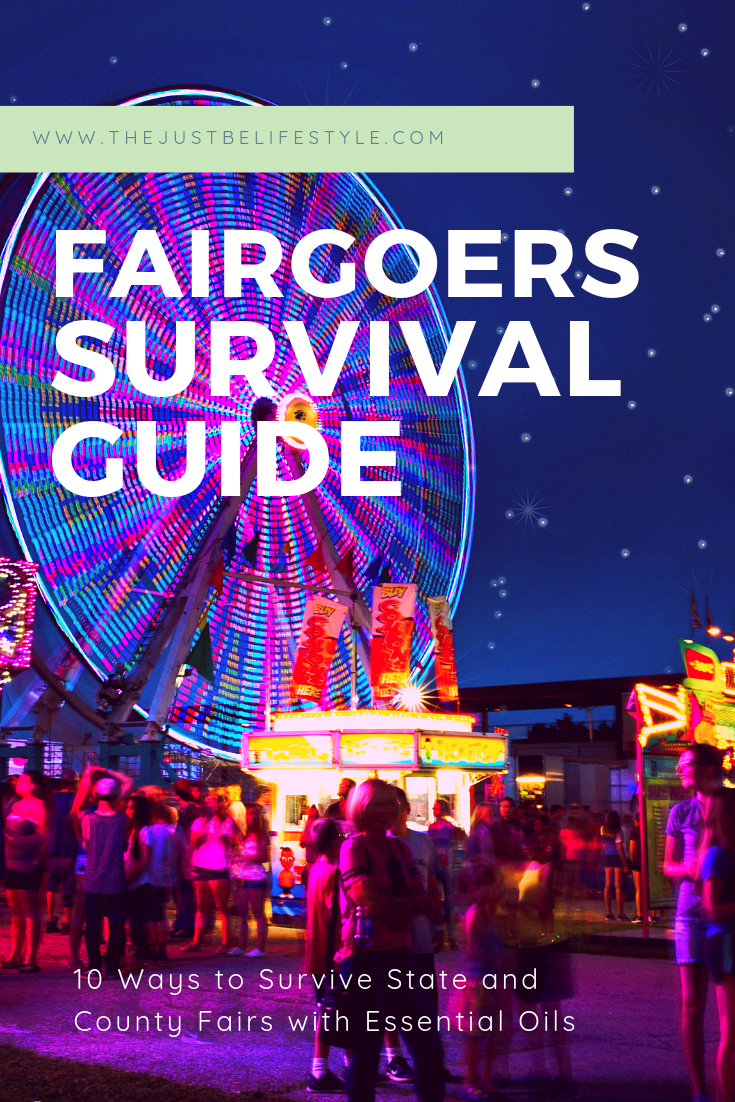 fairgoers survival guide blog image