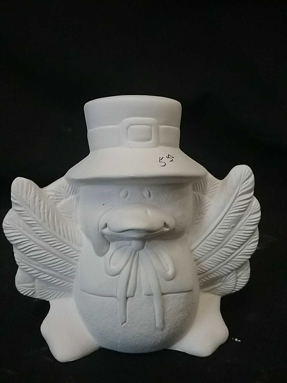 Turkey in pilgram costume