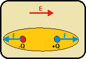 Dipolo equilibrado