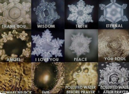 The Profound Influence of Emotions and Words on Water