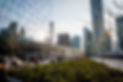 DSC3691.jpg