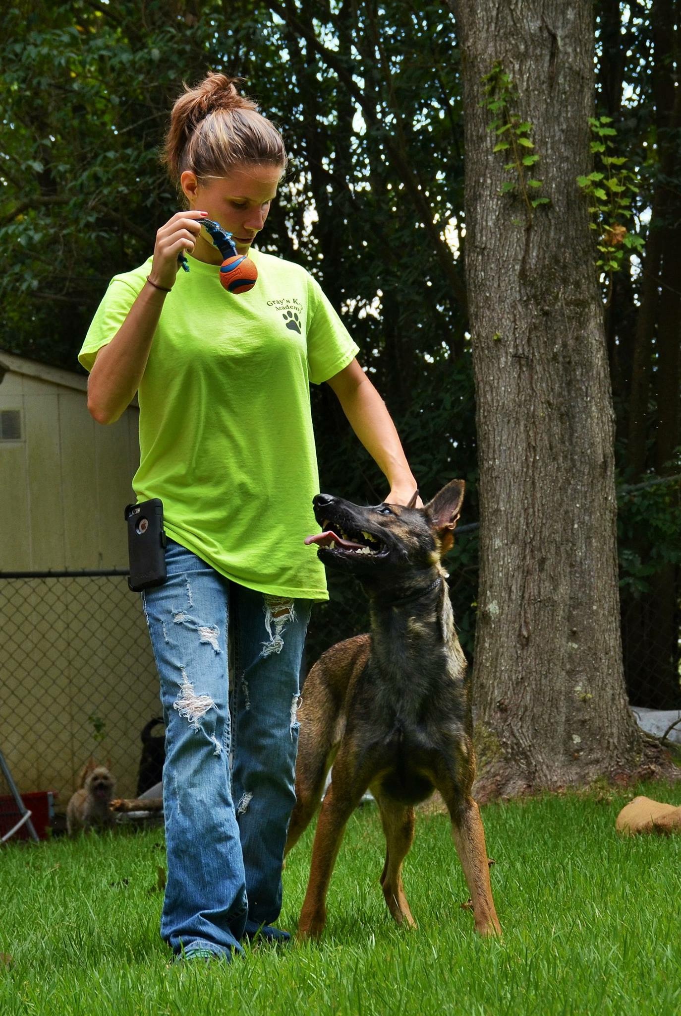 how to calm down a belgian malinois