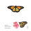 Thumbnail: Monarch/Danaus plexippus
