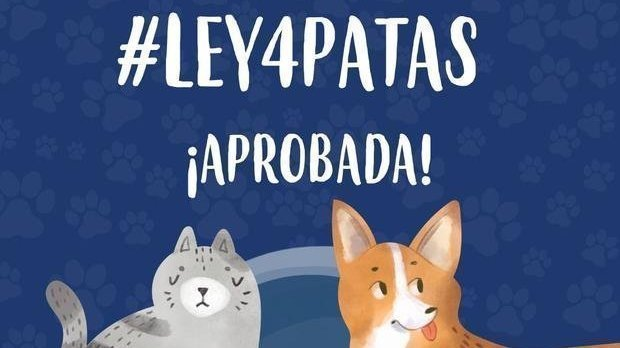 LEY "CUATRO PATAS", LA LEY QUE PRIORIZA LA ESTERILIZACIÓN DE PERROS Y GATOS