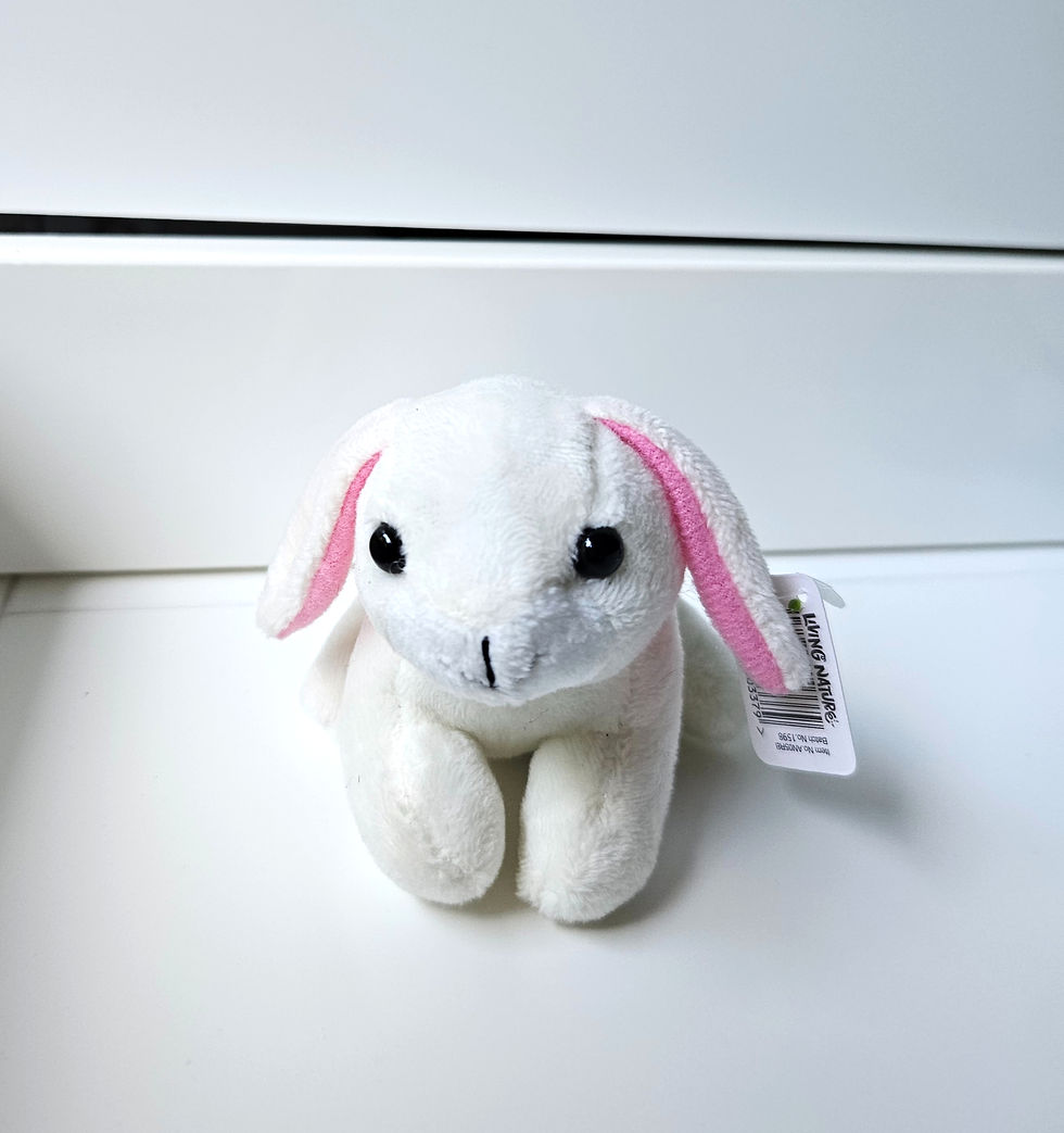 Thumbnail: Mini Rabbit Plushie
