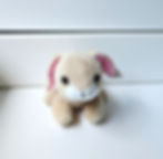 Thumbnail: Mini Rabbit Plushie
