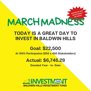INVESTMENT FUND IG.png