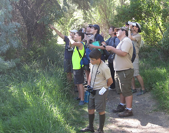 LCBAS Bateman Island bird walk with boy scouts