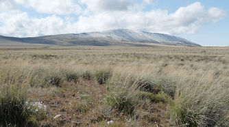 Rattlesnake Mountain by Heidi Newsome