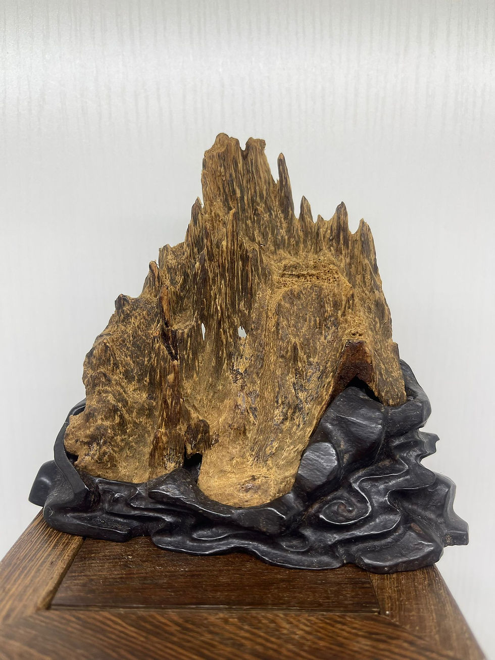 agarwood singapore