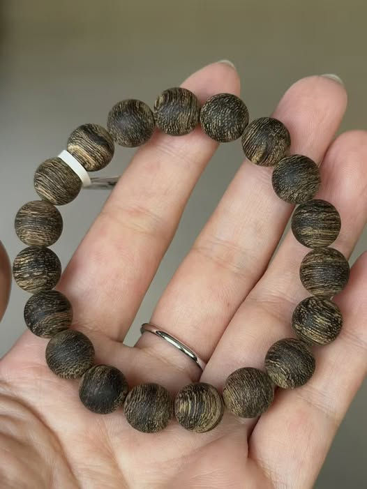 agarwood near me