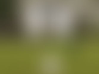 Mixed Triples Final - 2021