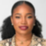 professional mobile and remote online notary serving Chicago and surrounding areas