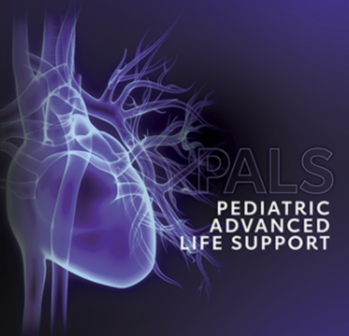 PALS Provider Manual eBook | JIC CPR PLUS