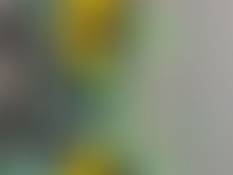 やっと咲きました。