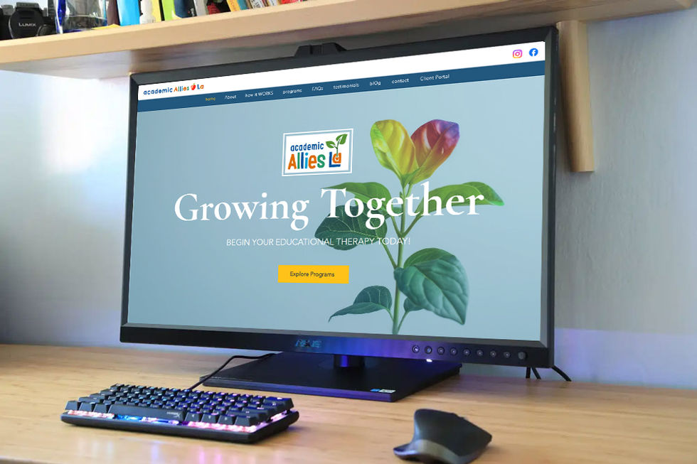 SOTU Creative - Website - Academic Allies
