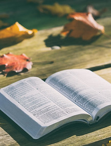 bible-1868070_1280.jpg
