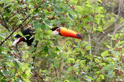 Natureza da Pousada Vale das Olivas em Aiuruoca MG