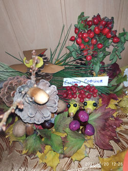 IMG_20211020_122625