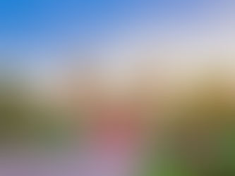 DIFC Trust vs ADGM Trust: UAE Family Wealth Structures Explained