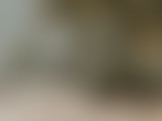 Moving to the UAE: Complete Expat Guide to Cost of Living, Housing, Healthcare, Schools & Daily Life