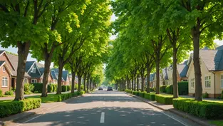 How to Navigate the Mortgage Loan Process: Essential Questions to Ask Your Lender