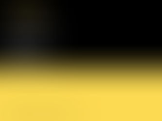 Investment Update December 2025