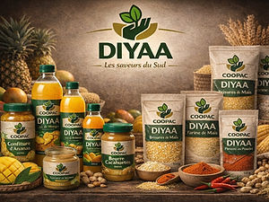 WhatsApp Image 2026-01-29 at 08.16.09 (2).jpeg