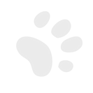 Compassionate Light Animal Reiki, Let Animals Lead Method, Chico, CA