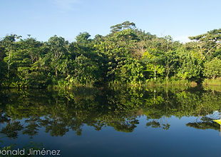 Las Brisas Nature Reserve | Costa Rica | Habitah