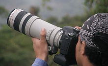 Las Brisas Nature Reserve | Costa Rica | Photography | Wildlife