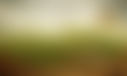 imagen de un libro abierto con el tamaño de un campo verde en cada una de las páginas superiores y un niño en ese campo remontando un brrilete bajo un cielo de nubes.