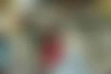 El altruismo no es opcional