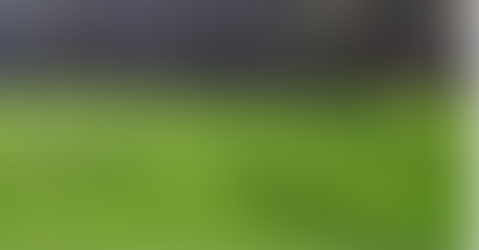 Imagen de un parge con un hermoso césped fresco y verde y prolijamente cuidado