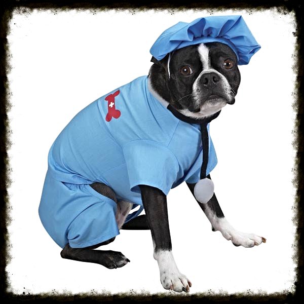 CC ER DOCTOR COSTUME