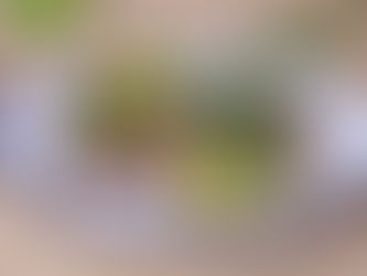 Cocina urbana desde el trompo: La Sirloinería