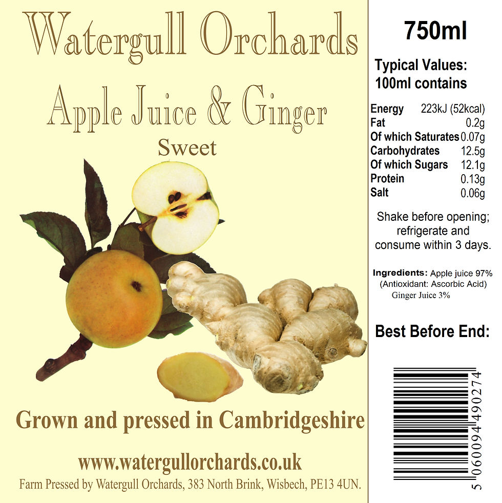Sweet Apple & Ginger 75cl