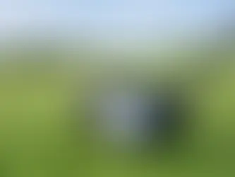 Review: Custom Built Golf Driver Results