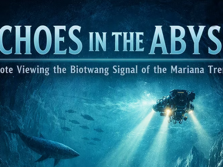 Echoes in the Abyss: Remote Viewing the Biotang Signal of the Mariana Trench