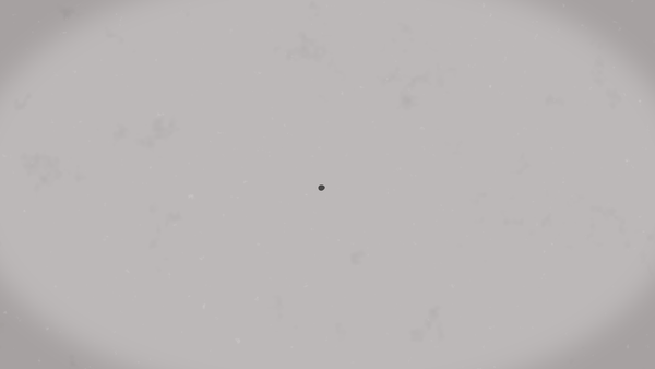 bird gif.gif