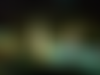 Rompe record Shakira; 400 mil asistentes