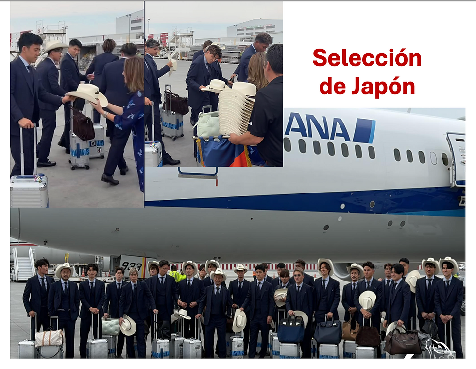 Selección japonesa está en NL
