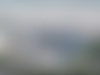 Avanza un paso proyecto nuevo estado Tigres; ceden terrenos