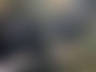 Reportan alto volumen, hallan fiesta clandestina y más de 350 menores de edad en SPGG