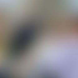 Ponen denuncia Diputados por caso Matrimar