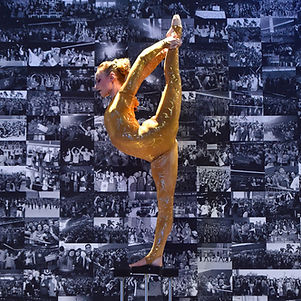 Handbalancing Performers