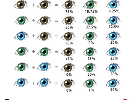 What eye color will my baby have?