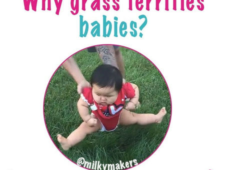 Why are babies terrified of grass