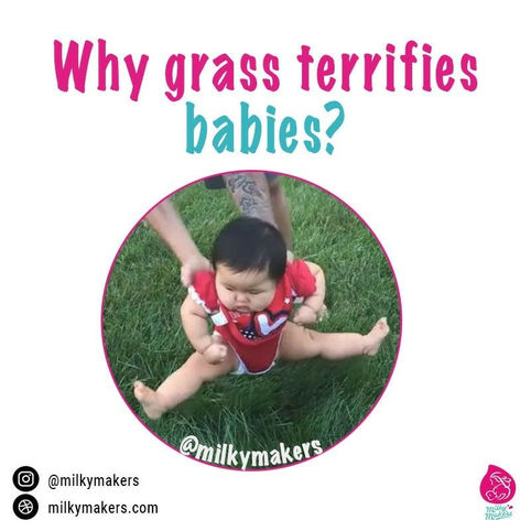 Why are babies terrified of grass